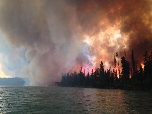 The Funny River Fire in Alaska burned 193,597 acres (78,346 ha), mostly Black spruce taiga