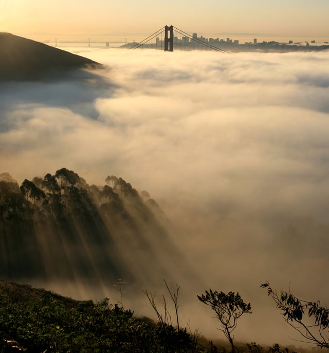 Fog is a regular feature of San Francisco summers.