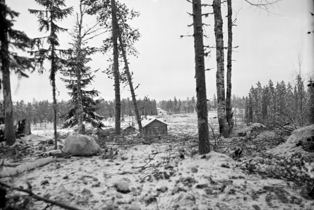 Dense forests of Ladoga Karelia at Kollaa. A Soviet tank on the road in the background according to the photographer.