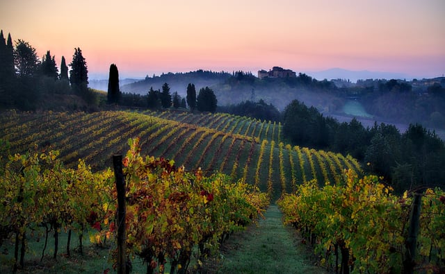 Vineyards in the Chianti region, Tuscany. The Italian food industry is well known for the high quality and variety of its products.