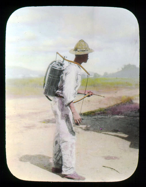 Man spraying kerosene oil in standing water, Panama Canal Zone 1912