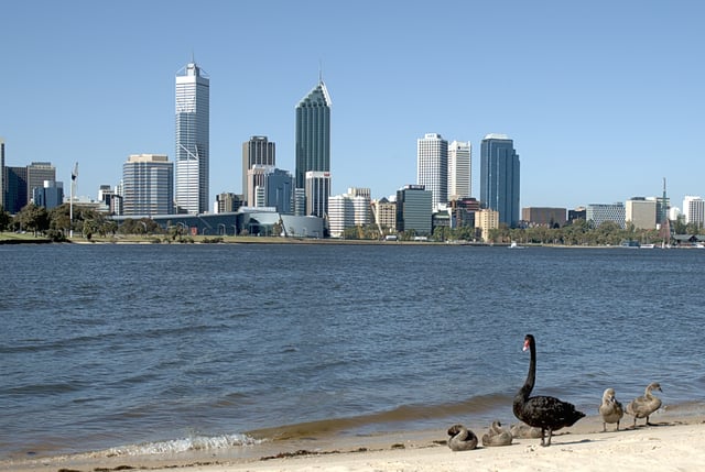 Black swans on the shore of the Swan River (Western Australia), with the Perth skyline in the background. The thousand-year-old conclusion "all swans are white" was disproved by the VOC navigator Willem de Vlamingh's 1697 discovery.
