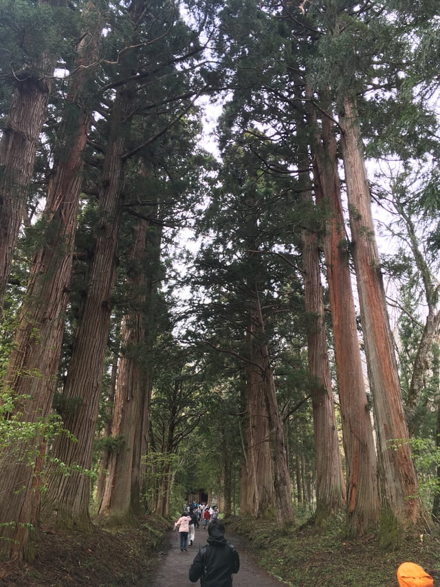 Along the route on Mt. Togakushi, Nagano, to Oku Shrine