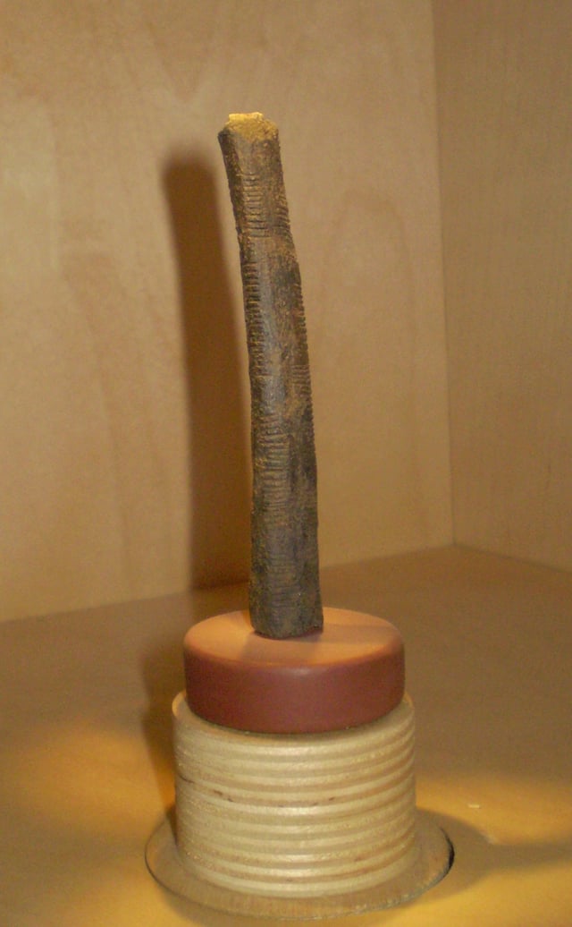 The Ishango bone, a bone tool dating back to prehistoric Africa.