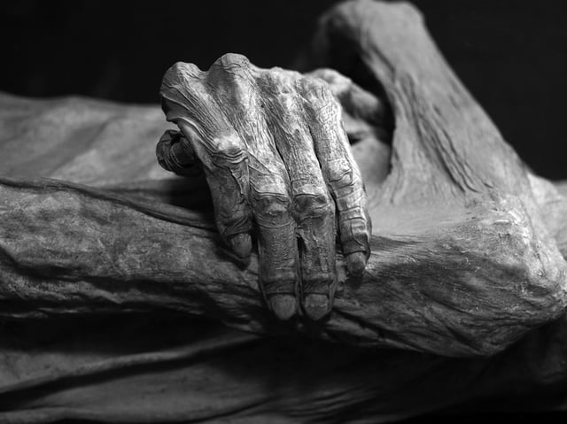 A mummy from Guanajuato
