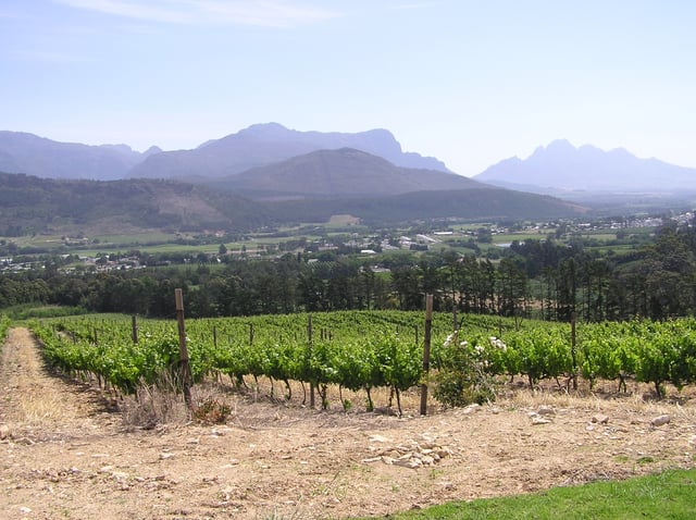 Vineyard in the Paarl ward of Franschhoek (Western Cape Province). The South African wine industry (New World wine) is among the lasting legacy of the VOC era.