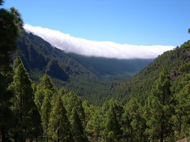 Caldera de Taburiente National Park (La Palma).