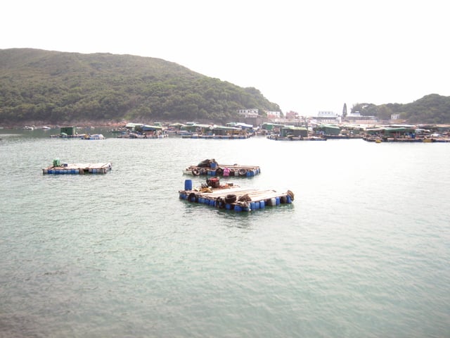 Mariculture off High Island, Hong Kong