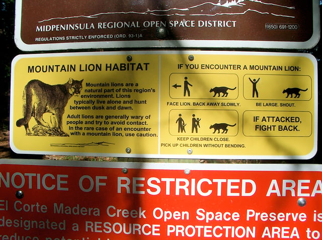 Mountain Lion warning sign in California, US.