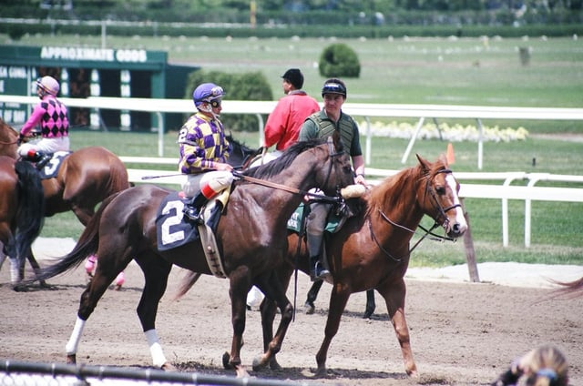 Preparing for a horse race at Belmont Park, home of the Belmont Stakes, the final leg of the Triple Crown