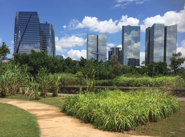 Sunny day in the People's Park