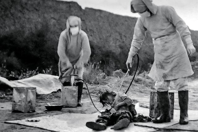 U.S. authorities granted Unit 731 officials immunity from prosecution in return for access to their research.