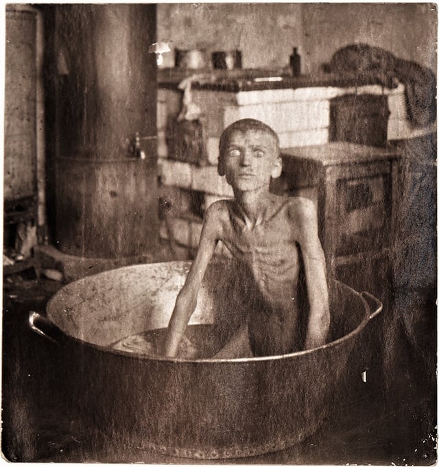 A boy from village Blahovishchenka (gubernia or province of Zaporizhzhia, Ukraine)—Ilarion Nyshchenko—from starvation killed his 3-year-old brother and ate him (1921–22)