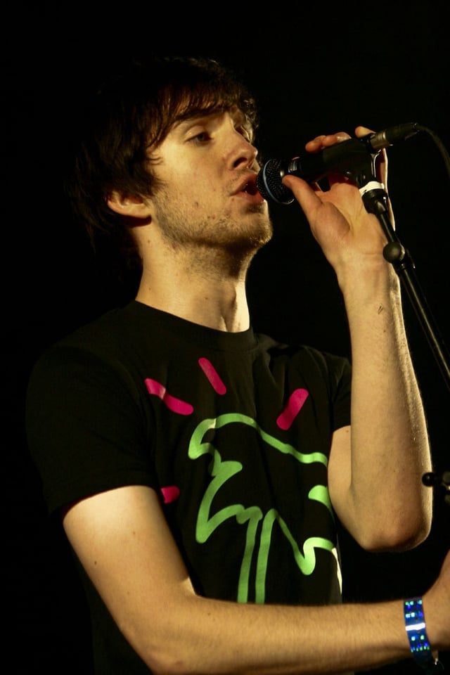 Harris performing at the Eurockéennes (2008)