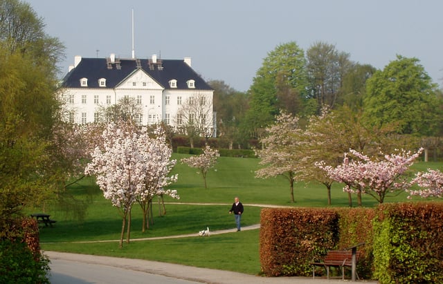 Blooming cherry trees and Marselisborg Palace in Mindeparken