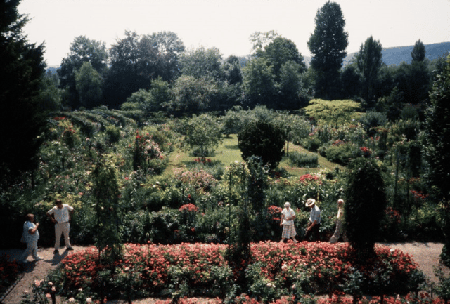 Monet's Garden 1989