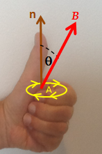 A Left Hand Rule for Faraday's Law. The sign of ΔΦB, the change in flux, is found based on the relationship between the magnetic field B, the area of the loop A, and the normal n to that area, as represented by the fingers of the left hand. If ΔΦB is positive, the direction of the EMF is the same as that of the curved fingers (yellow arrowheads). If ΔΦB is negative, the direction of the EMF is against the arrowheads.