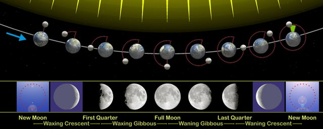 The monthly changes in the angle between the direction of sunlight and view from Earth, and the phases of the Moon that result, as viewed from the Northern Hemisphere. The Earth–Moon distance is not to scale.