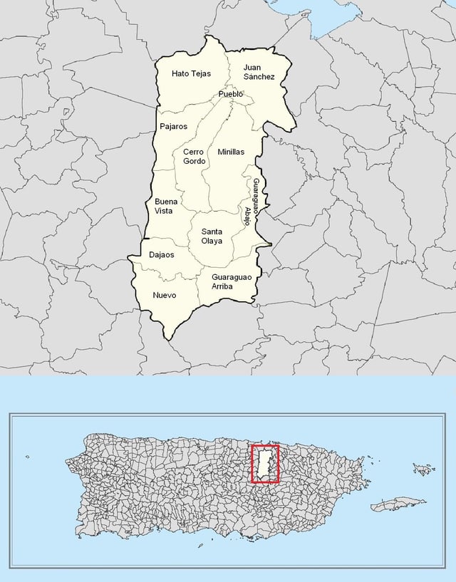 Subdivisions of Bayamón