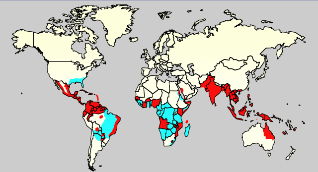 A. aegypti and Dengue distribution in 2006    A. aegypti distribution with history of epidemic dengue   A. aegypti distribution without history of epidemic dengue