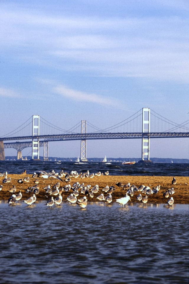 The Chesapeake Bay Bridge connects Maryland's Eastern and Western Shores.