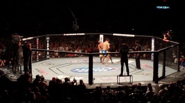 Shot of the Octagon as Chris Weidman upsets Anderson Silva at UFC 162.