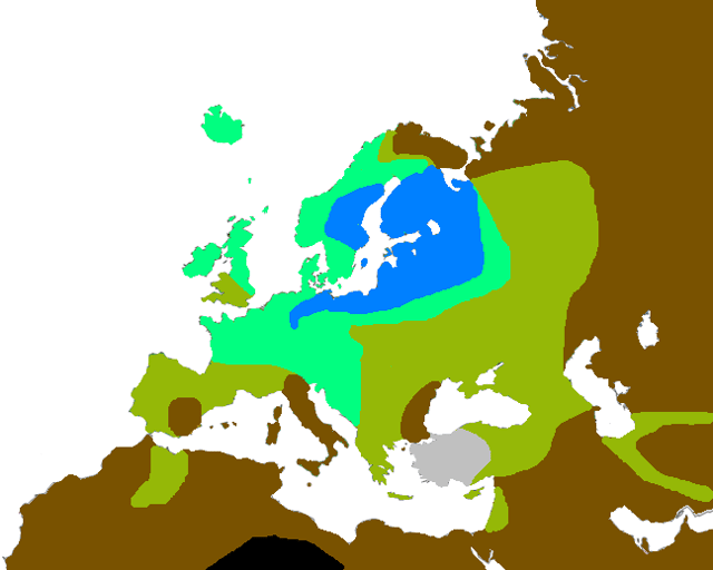 Percentage of light eyes in and near Europe according to anthropologist Robert Frost.