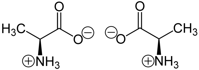 (S*)-Alanine (left) and (R)-alanine (right) in zwitterionic form at neutral pH