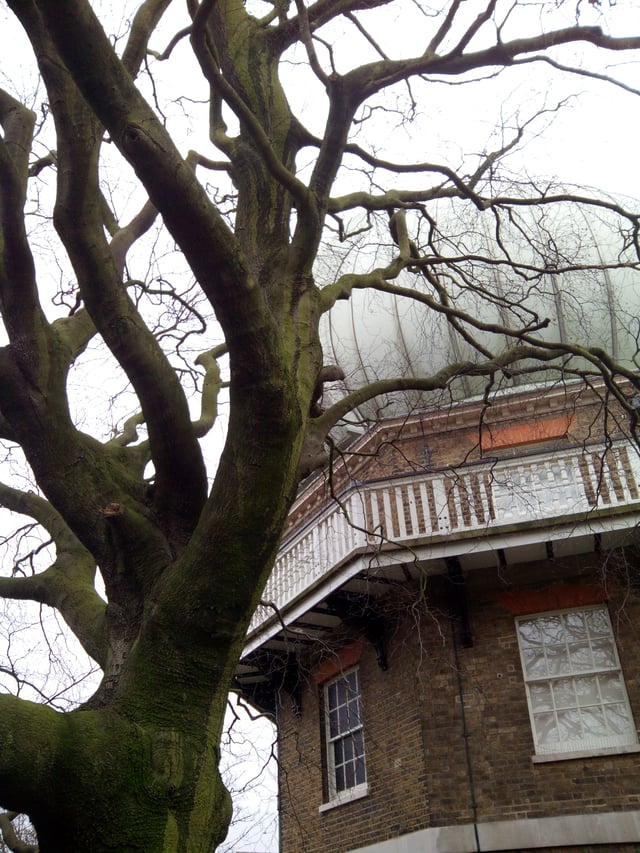 Telescope and tree