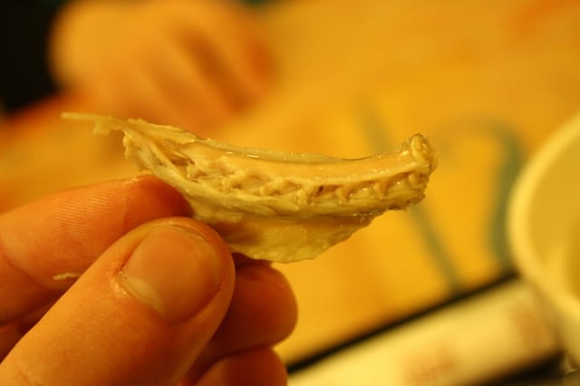 Snake meat, in a Taipei restaurant