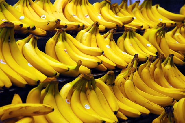 Cavendish bananas are the main commercial banana cultivars sold in the world market.