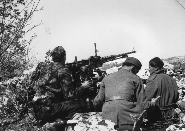 Partisans fighting for Trieste and Primorje region, 1945