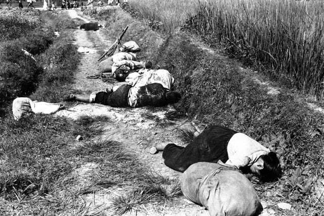 Civilians killed during a night battle near Yongsan, August 1950