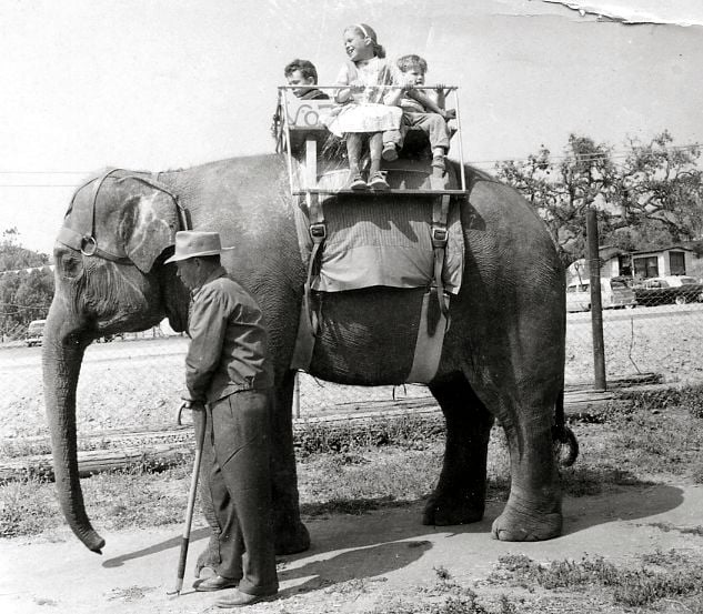 Jungleland USA was one of the first theme parks in California.