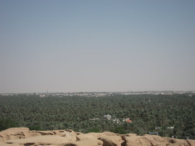 Al-Hasa is known for its palm trees and dates. Al-Hasa has over 30 million palm trees which produce over 100 thousand tons of dates every year.