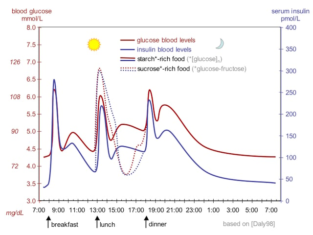 The fluctuation of blood sugar (red) and the sugar-lowering hormone insulin (blue) in humans during the course of a day with three meals. One of the effects of a sugar-rich vs a starch-rich meal is highlighted.