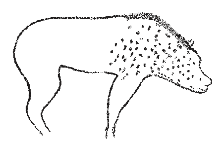Trace of a 20,000-year-old spotted hyena painting from the Chauvet Cave, France