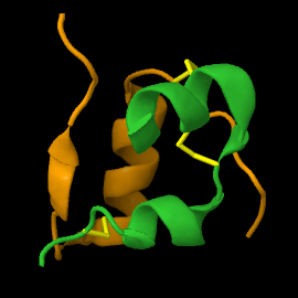 Insulin is a peptide hormone containing two chains cross-linked by disulfide bridges