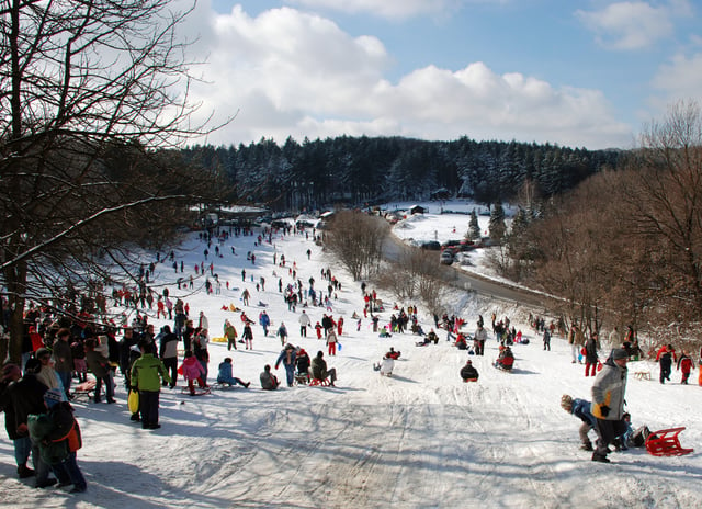 Fruška Gora in winter