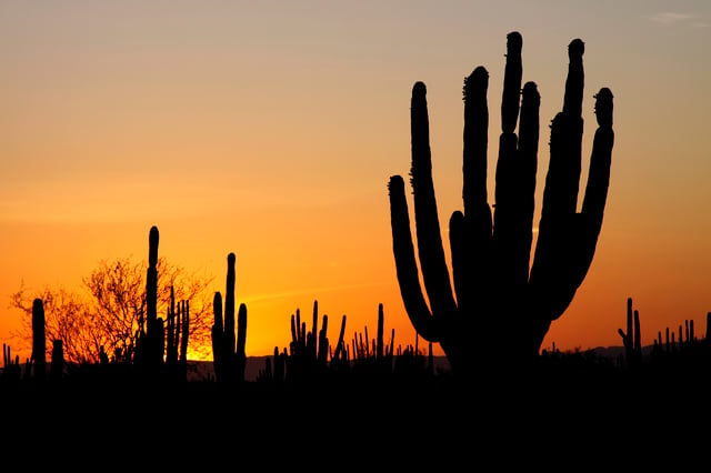 Sunset over the desert in Sonora