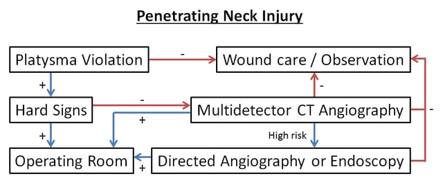 Penetrating neck injury protocol.