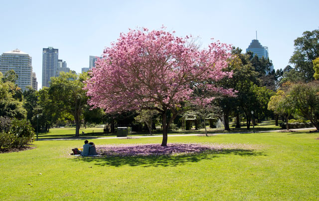 The City Botanic Gardens