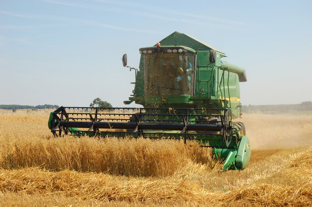 Mechanical harvest of oats.