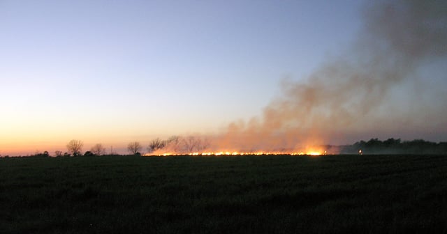 Controlled burning of a field outside of Statesboro, Georgia in preparation for spring planting.