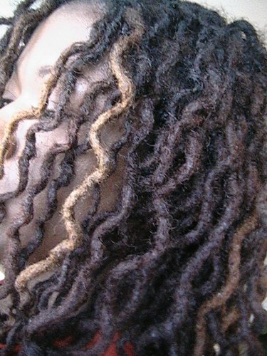 Fully matured dreadlocks started from the comb twist method.