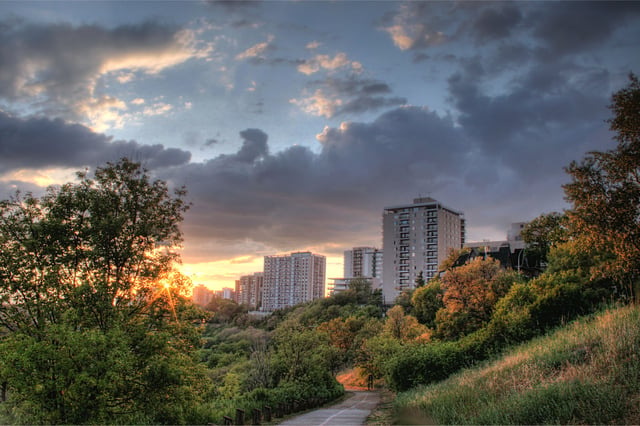 A trail in the North Saskatchewan River valley parks system