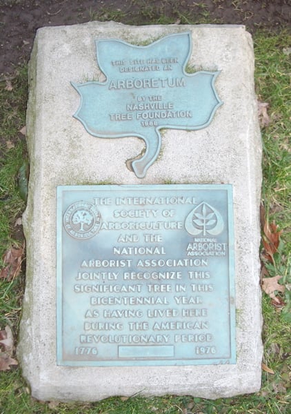 Vanderbilt's campus is a designated national arboretum.