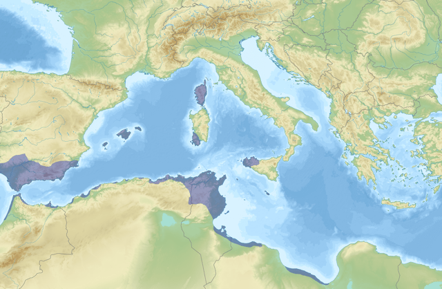 Carthaginian-held territory before the first First Punic War