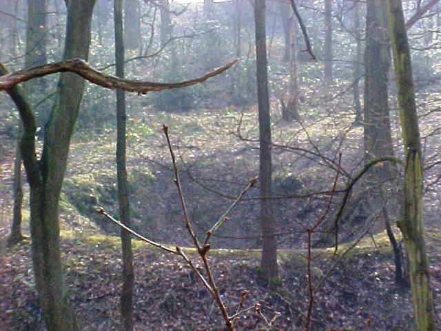 Depression or bell pit, evidence of early coal mining in Middleton Woods