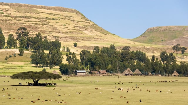 Rural area in the Simien Mountains National Park